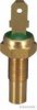 MAGNETI MARELLI 600000176790 Sensor, coolant temperature